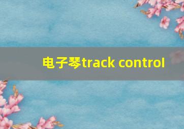 电子琴track controI